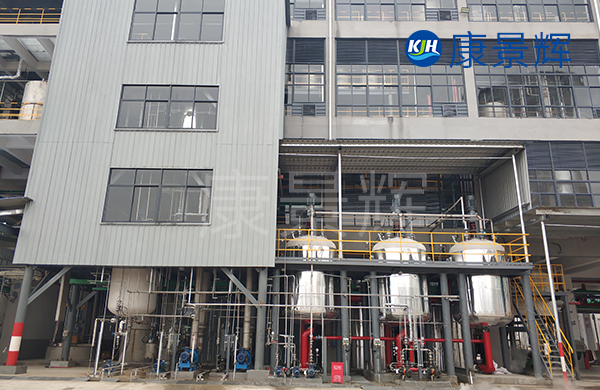 4.2t/h硫酸銨廢液焚燒前蒸發(fā)預處理 4.2t/h硫酸銨廢液焚燒前蒸發(fā)預處理