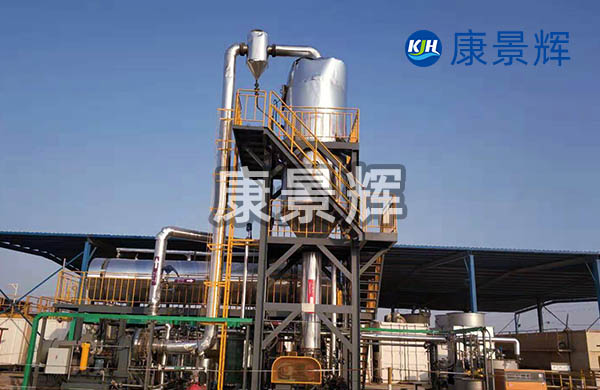 處理量5t/h雜鹽單效蒸發結晶系統