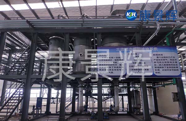 多效降膜蒸發(fā)器可以用來濃縮處理廢水，特別適合處理牛奶、淀粉、葡萄糖等食品廠廢水的加工處理中
